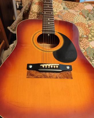 chitarra acustica Squirrel ByFenfer