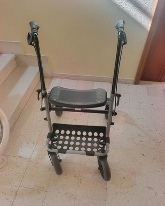 carrello deambulatore 
