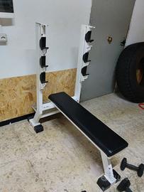 Panca piana pettorali 