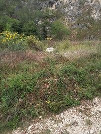 Materiale da riempimento (pietre e terra)