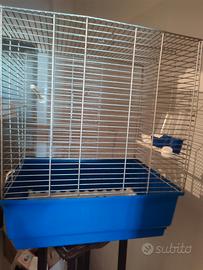gabbia x uccellini 