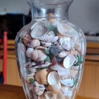 vasi di conchiglie 