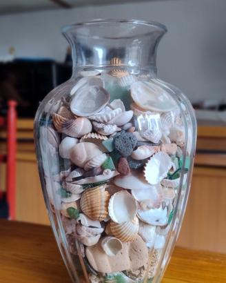 vasi di conchiglie 