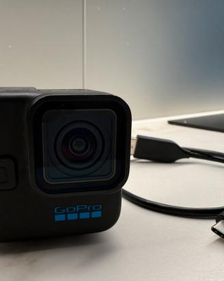 Gopro mini