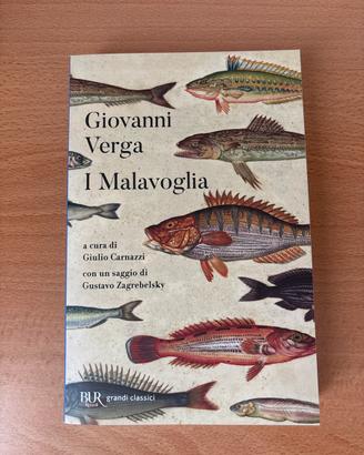 I Malavogia