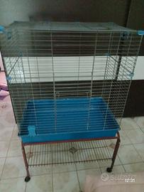 Voliera per pappagalli