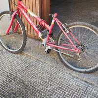 Due biciclette per ragazzi da revisionare