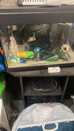 Acquario  70  litri 