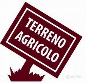 Terreno agricolo