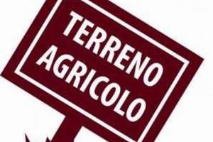 Terreno agricolo