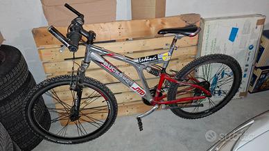 Bicicletta bimortizzata