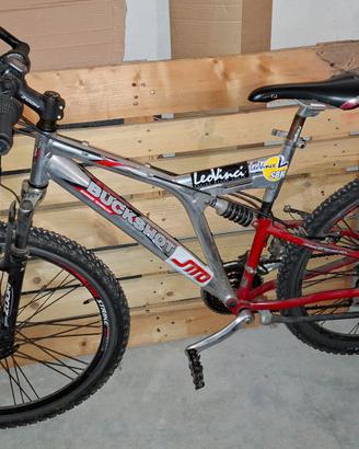 Bicicletta bimortizzata