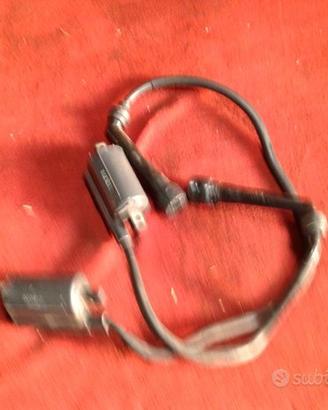 Bobina suzuki intruder