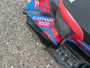QUAD ELETTRICO 1000 Watt
