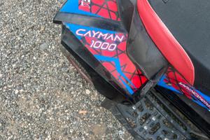QUAD ELETTRICO 1000 Watt