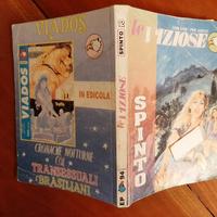 LE VIZIOSE Ediperiodici. N.2 del 4/94. Del Mestre