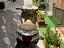 Immagine 2