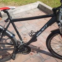 Bici ragazzo 12-14 anni