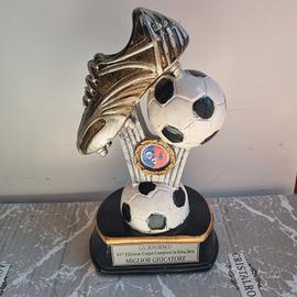 Trofeo di calcio 