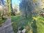 Immagine 19