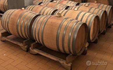 BOTTI    Tonneaux 500 lt