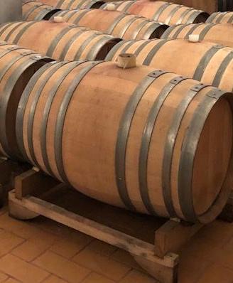 BOTTI    Tonneaux 500 lt
