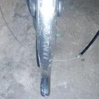 leve campagnolo Avanti 