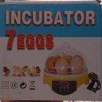 Incubatore 7 uova