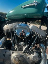 Sporster 883 2005 (carburatore)