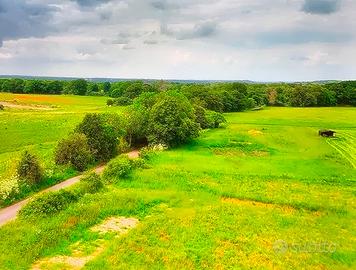 Inglés-Español Interpreter Book