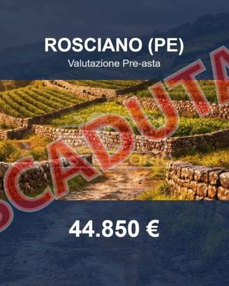 Immobile in asta di 18670 m² a Rosciano