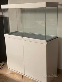 Acquario 240 litri