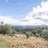 TER. AGRICOLO A TORRI IN SABINA