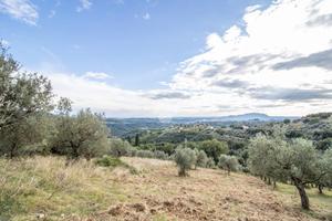 TER. AGRICOLO A TORRI IN SABINA