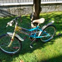 bicicletta bambino 