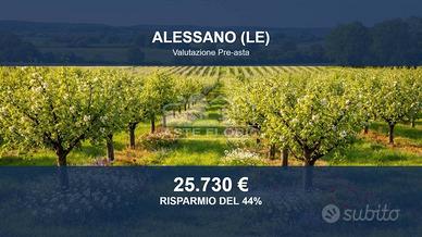 Immobile in asta di 10168 m² a Alessano