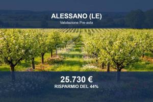 Immobile in asta di 10168 m² a Alessano