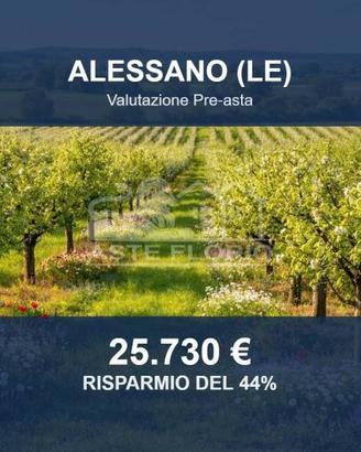 Immobile in asta di 10168 m² a Alessano