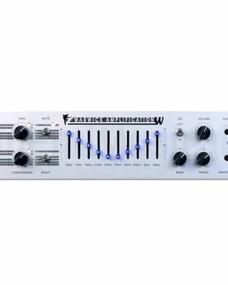 Warwik Bass Amp W300