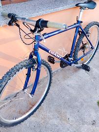 bici MTB Giant