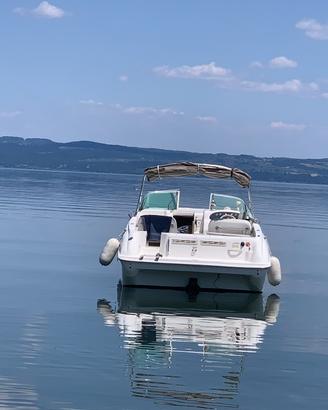 Sea ray 215 EC