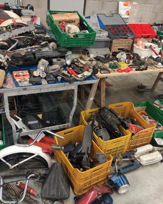 ciao si bravo boxer grillo boss super bravo 