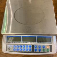 BILANCIA PROFESSIONALE