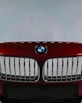 BMW 6 F12 F13 Paraurti Anteriore