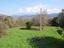 Immagine 18