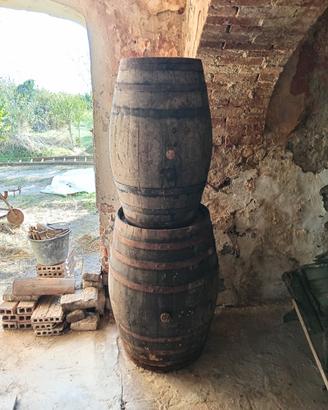 Botti Barrique