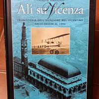 ALI  SU  VICENZA