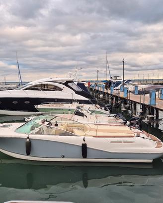 janneaou runabout 755