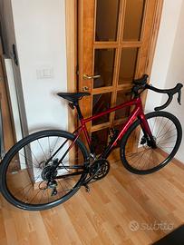Trek Domane AL 2 endurance entry level