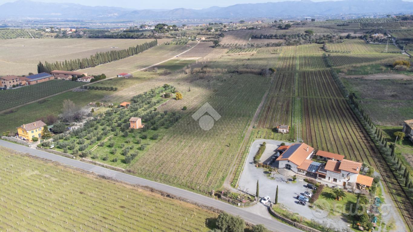 TER. AGRICOLO A FRASCATI - Altro